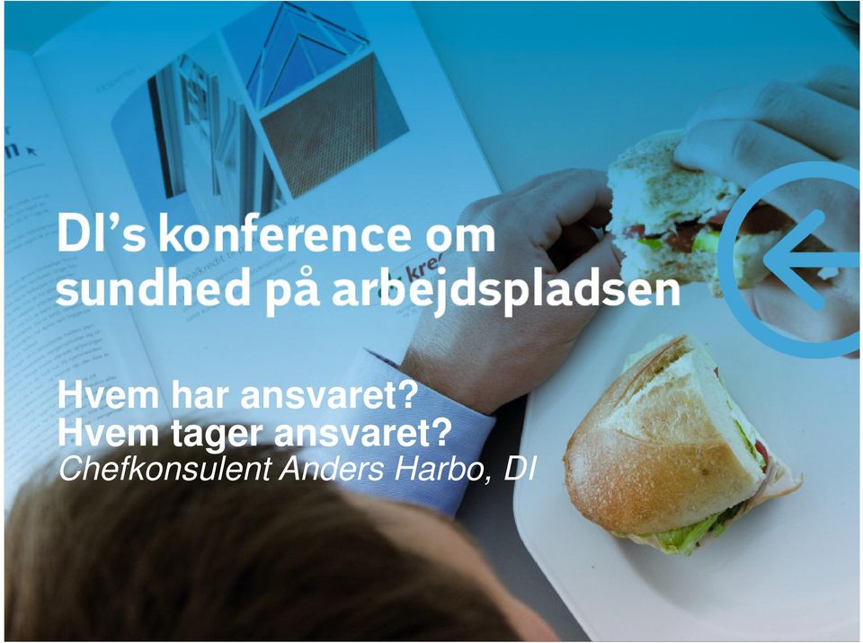 Chefkonsulent Anders