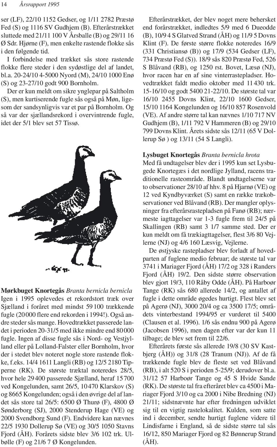 Der er kun meldt om sikre ynglepar på Saltholm (S), men kurtiserende fugle sås også på Møn, ligesom der sandsynligvis var et par på Bornholm.