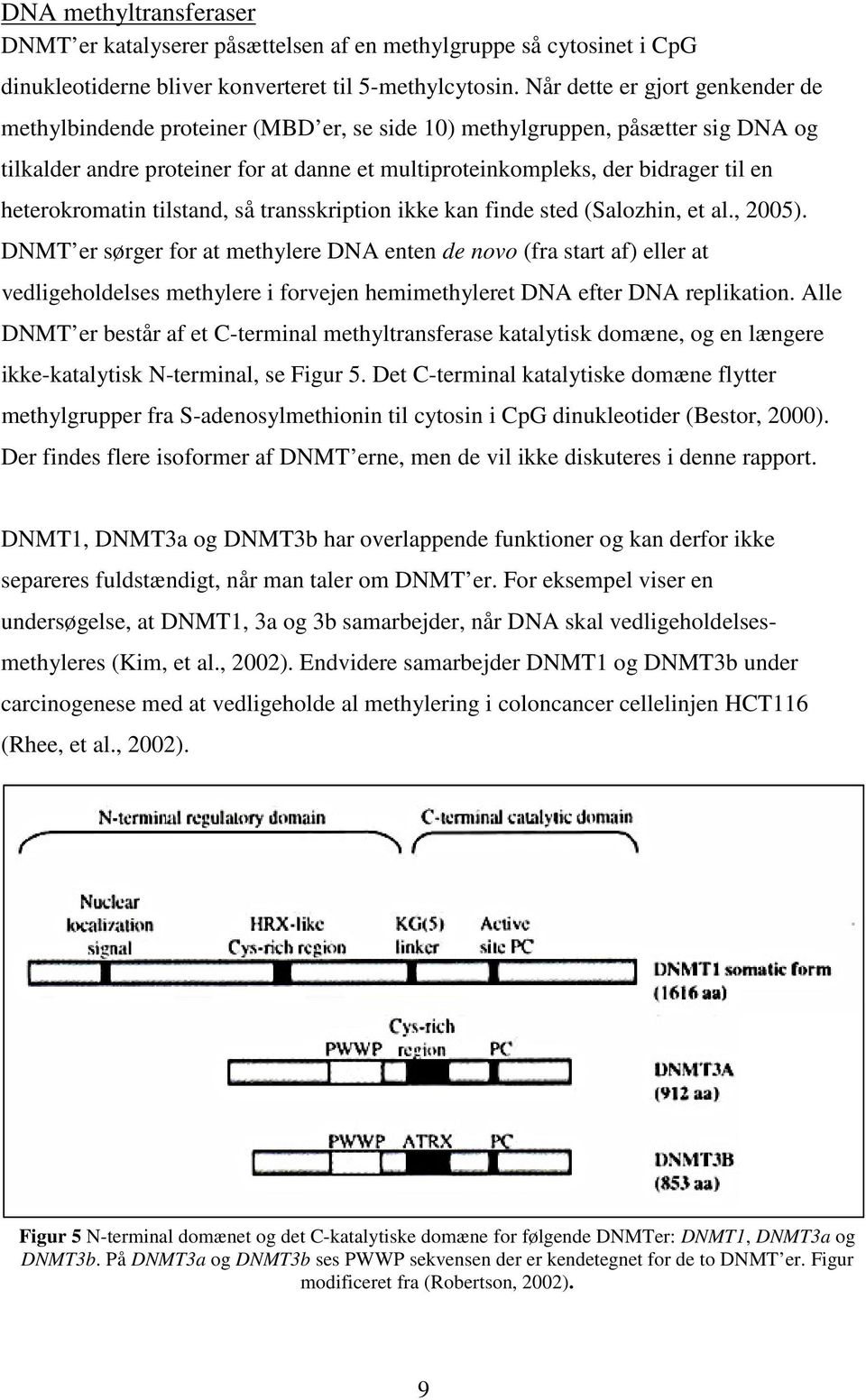 heterokromatin tilstand, så transskription ikke kan finde sted (Salozhin, et al., 2005).