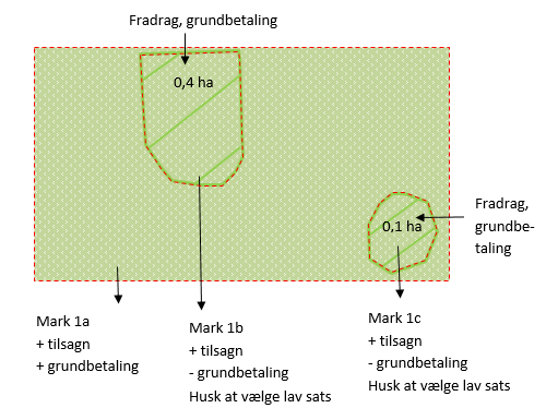 Figur 11: Arealer med fradrag, grundbetaling indtegnes som selvstændige marker. Markblokkens støtteprocent Markblokke bestående af permanent græs er tildelt en støtteprocent.