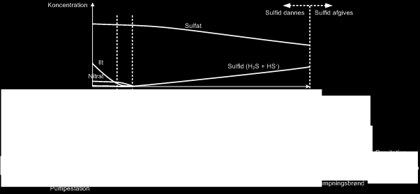 36 Erfaringsudveksling i Vandmiljøteknikken EVA Figur 3 Skitse over ændringen i kemiske forhold over længden af en trykledning.