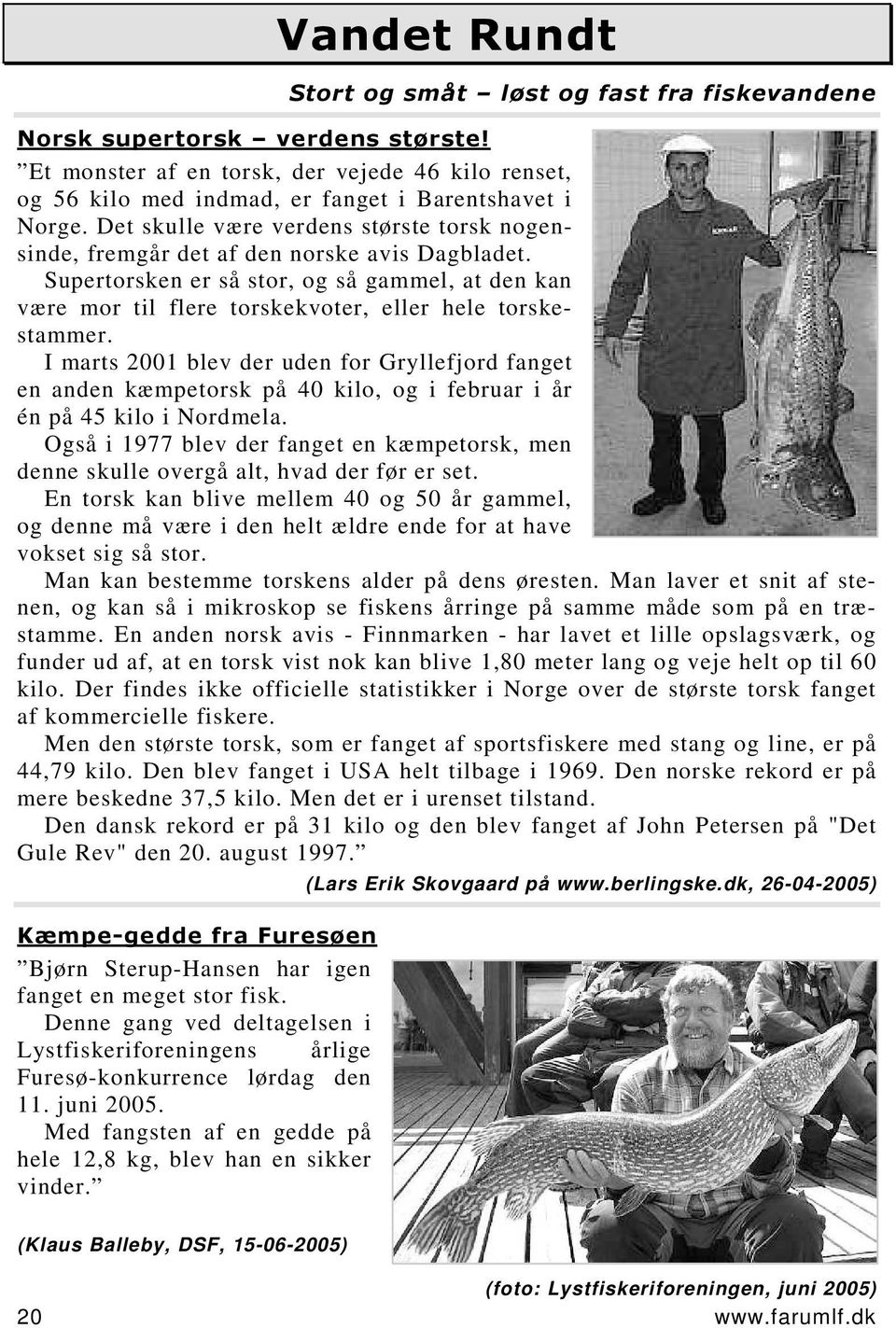 I marts 2001 blev der uden for Gryllefjord fanget en anden kæmpetorsk på 40 kilo, og i februar i år én på 45 kilo i Nordmela.
