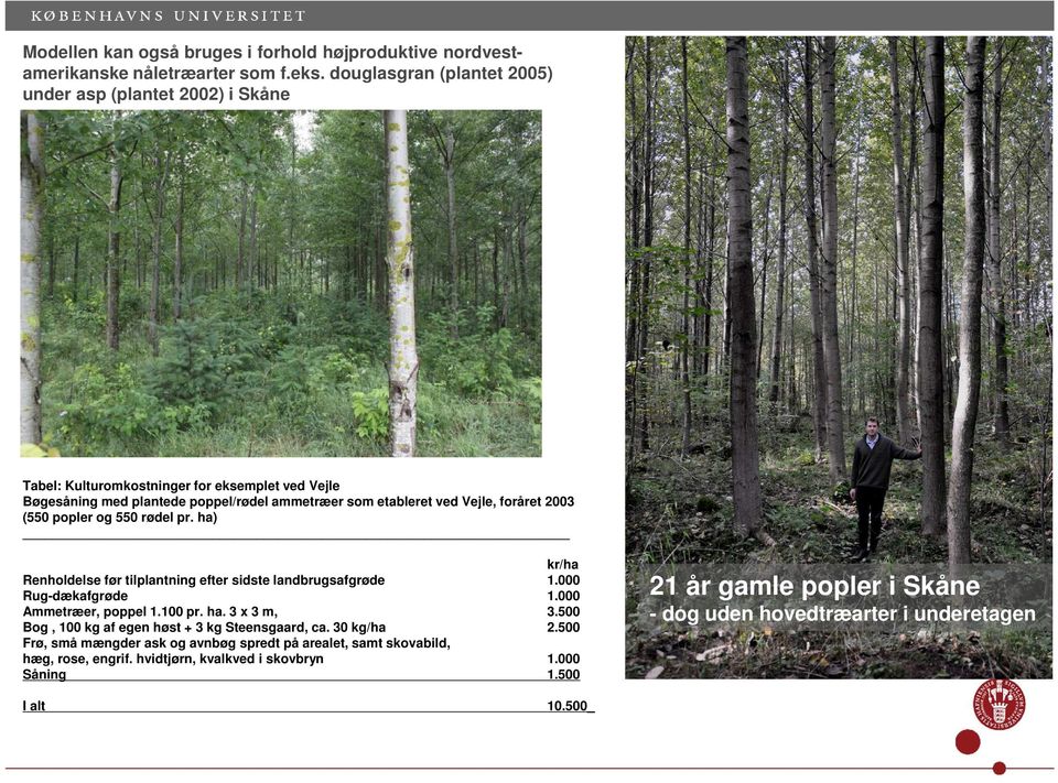 foråret 2003 (550 popler og 550 rødel pr. ha) kr/ha Renholdelse før tilplantning efter sidste landbrugsafgrøde 1.000 Rug-dækafgrøde 1.000 Ammetræer, poppel 1.100 pr. ha. 3 x 3 m, 3.