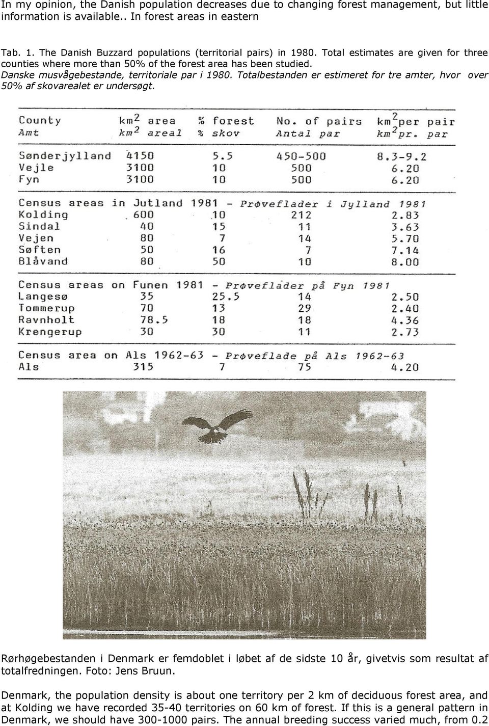 Danske musvågebestande, territoriale par i 1980. Totalbestanden er estimeret for tre amter, hvor over 50% af skovarealet er undersøgt.