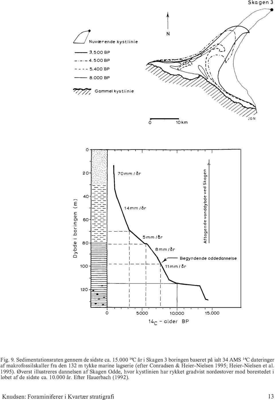 000 14C - alder BP Fig. 9. Sedimentationsraten gennem de sidste ca. 15.