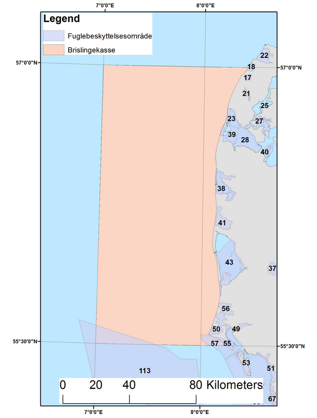 Figur 1. Området med begrænsning i brislingefiskerier (Brislingekassen) ud for Jyllands vestkyst. Placeringen af Fuglebeskyttelsesområder er angivet med geografisk udstrækning og områdenummer.