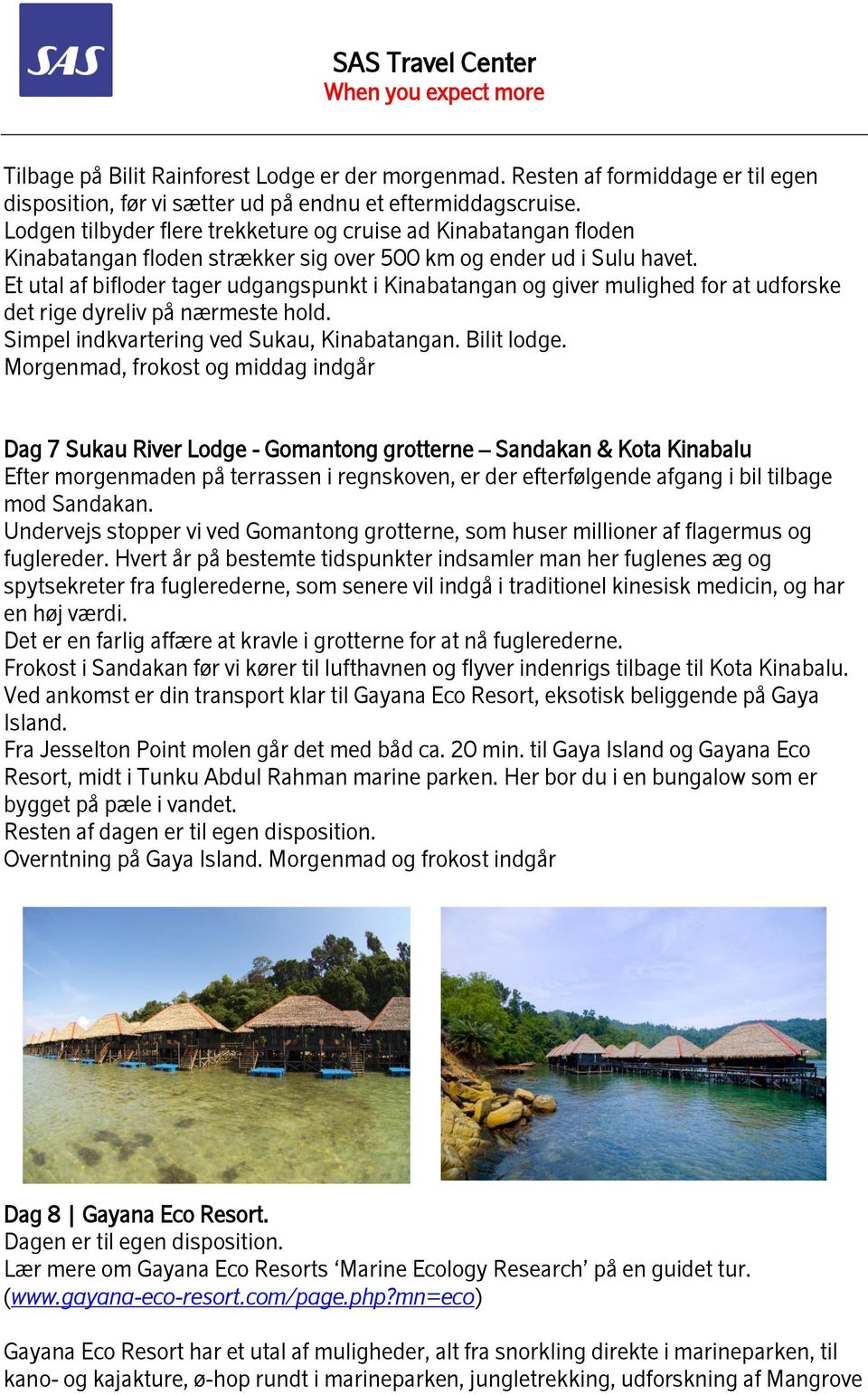 Et utal af bifloder tager udgangspunkt i Kinabatangan og giver mulighed for at udforske det rige dyreliv på nærmeste hold. Simpel indkvartering ved Sukau, Kinabatangan. Bilit lodge.