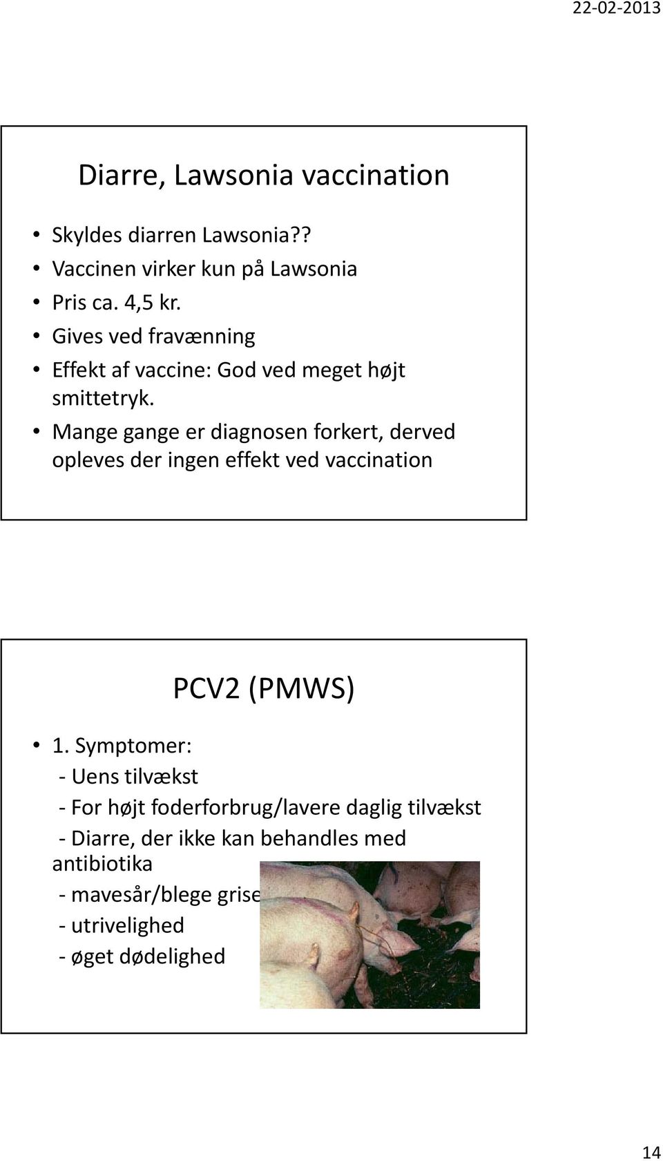 Mange gange er diagnosen forkert, derved opleves der ingen effekt ved vaccination PCV2 (PMWS) 1.
