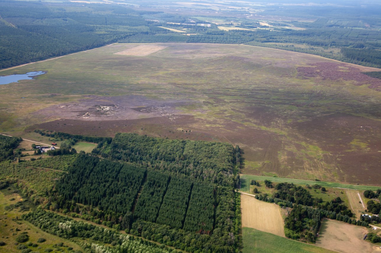 Med nærværende rapport gør Naturstyrelsen Vestjylland status over aktiviteter i 2012 Luftfoto af Nr. Vosborg hede Hedepleje Lynghederne i Vestjylland så i 2012 fortsat ret triste ud.