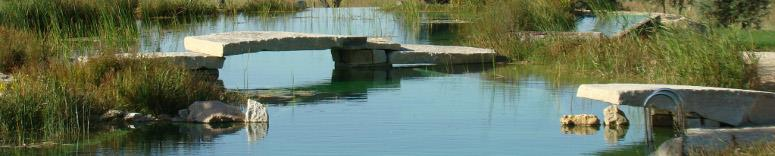 Definition - svømmesø Badefaciliteter med biologisk vandbehandling er menneskeskabte