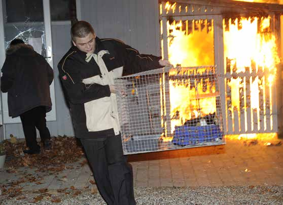 Med hjælp fra nogle unge mænd lykkedes det at redde de fleste katte ved branden nytårsaften 2008/09. Det er også skønt, at der er nogle mennesker, der gerne vil gøre noget for disse katte.