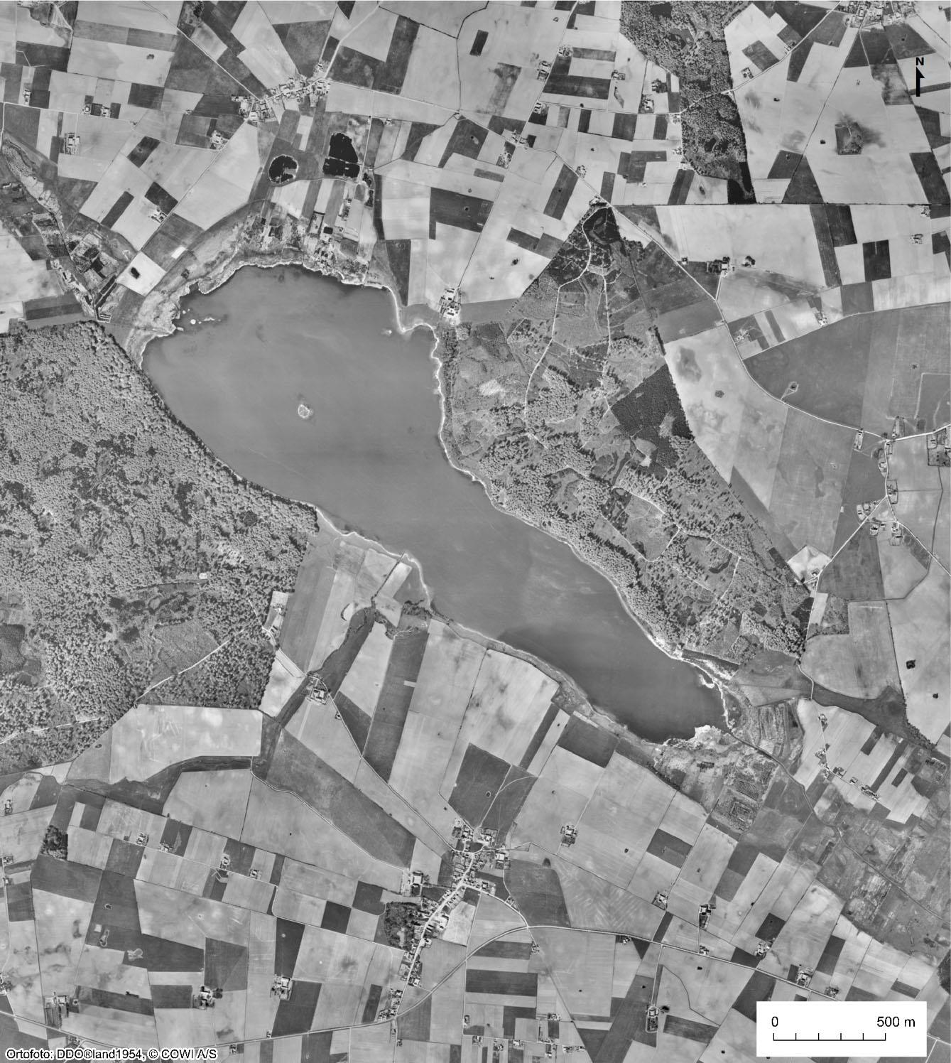 NATURVURDERING AF FLÆDEMOSE 9 Figur 2.2 Ortofoto fra 1954, der viser søens størrelse dengang, herunder tilstedeværelsen af en ø i den nordvestlige del 2.