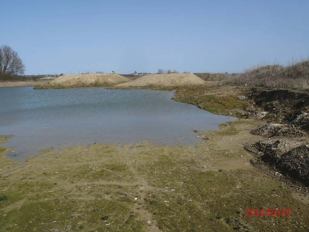 Foto 10: Potentiel ynglelokalitet for Grønbroget Tudse - temporær sø med manglende eller sparsom vegetation. I egne, hvor arten er almindelig, vil en sådan lokalitet koloniseres med det samme. 3.3.8.