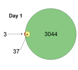 Antal af PPARγ og RXR target sites gennem 3T3 L1