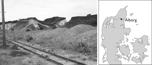 Fig. 1. Cementfabrikken Aalborg Portlands kridtgrav ved Rørdal nær Ålborg som den så ud i 1967. Billedet er taget omtrent hvor Rørdal-1 blev boret.