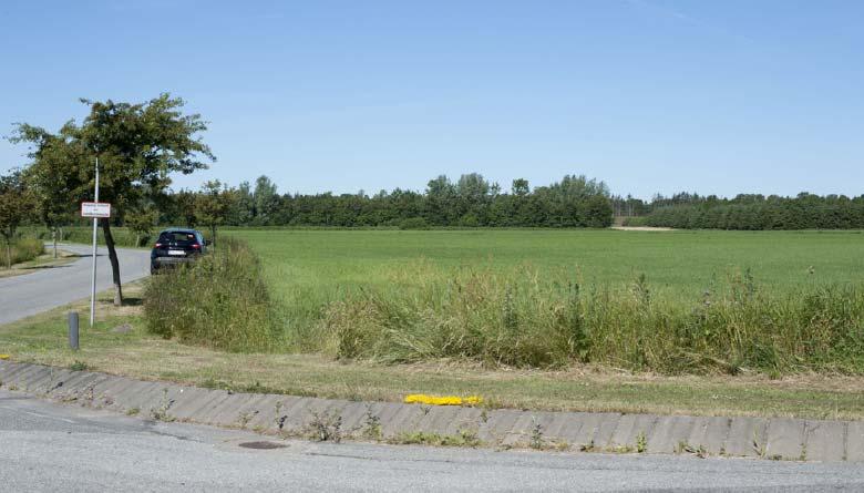 Figur 7-4 Foto over område 1 fra Solsbækvej. I mellemgrunden ses beplantning omkring rensningsanlægget.
