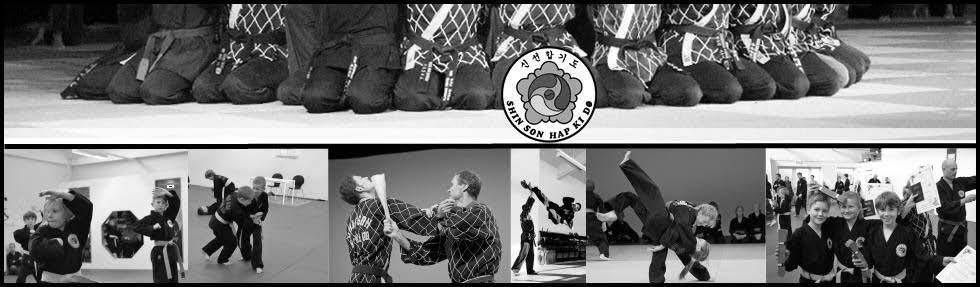 UGE 26, 32, 33 Aktiviteten: Shinson Hapkido er en koreansk kampkunst, der er velegnet for børn og unge. Da Shinson Hapkido er baseret på selvforsvar, deltager vi ikke i turneringer.