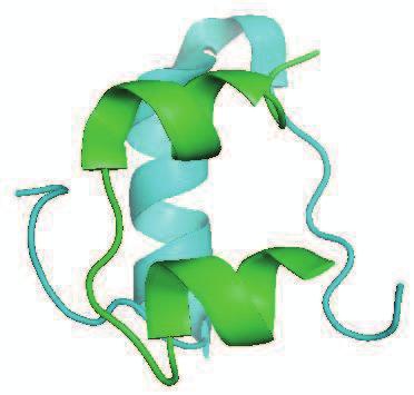 Opgave 3 Insulin Insulin er et protein, der består af to peptidkæder, en A-kæde og en B-kæde, som vist i både figur 1a og b.