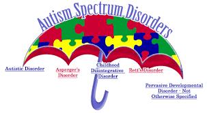 Autisme -uddannelse og
