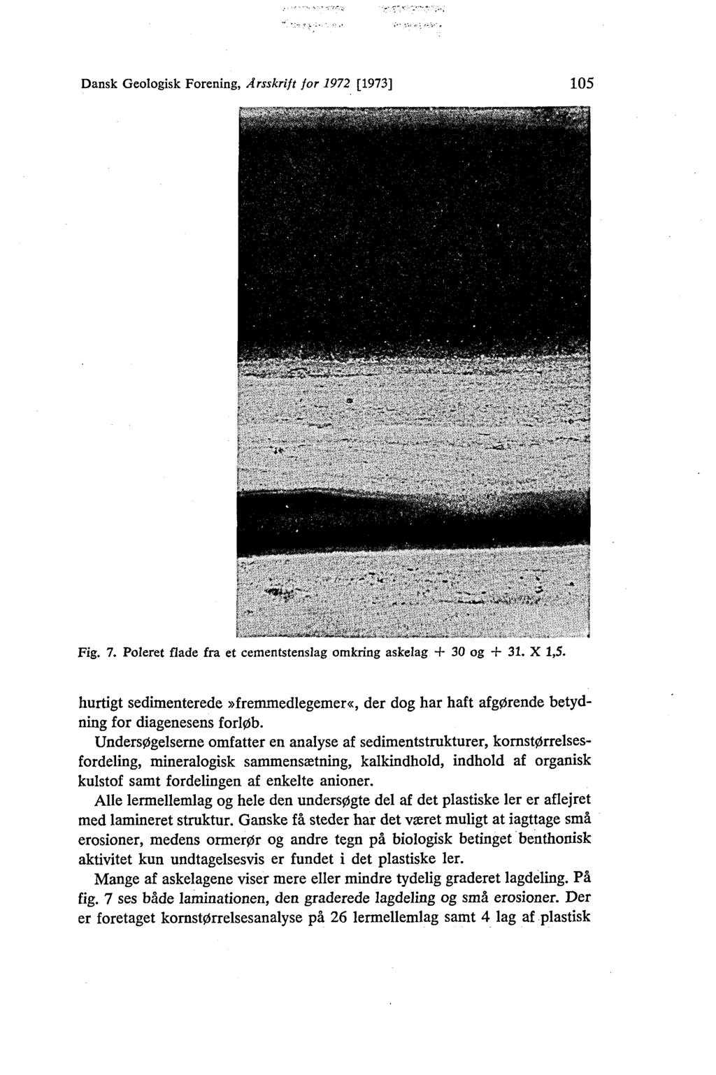 Dansk Geologisk Forening, Årsskrift for 1972 [1973] 105 Fig. 7. Poleret flade fra et cementstenslag omkring askelag + 30 og + 31. X 1,5.