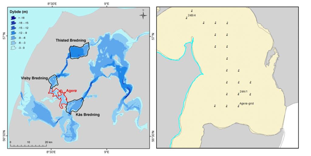 2. Materialer og metoder For at undersøge effekten af muslingefiskeriet i Limfjorden er flere datasæt blevet analyseret. 2.