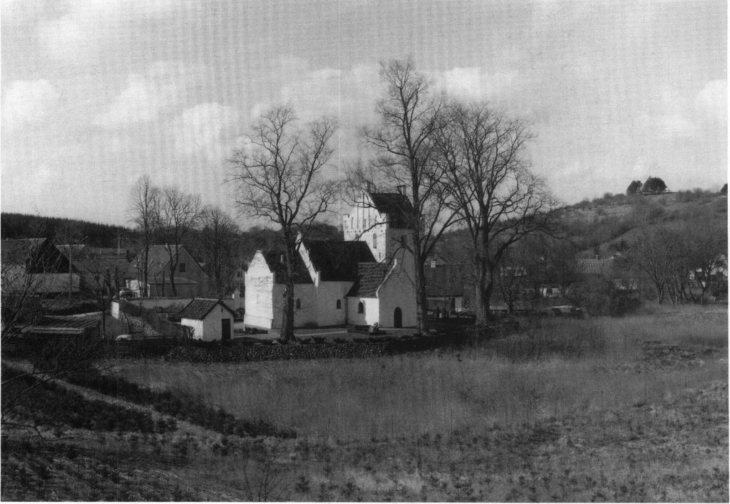 Fig. 1. Kirken, set fra nordøst. HJ fot. 1988. - The church seen from the north-east.
