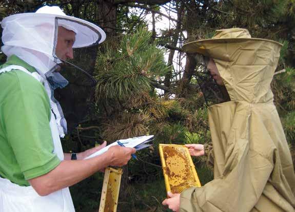 Ida, som var en af de danske deltagere ved International Meeting of Young Beekeepers 2015, er i gang med at løse en af konkurrencens opgaver.