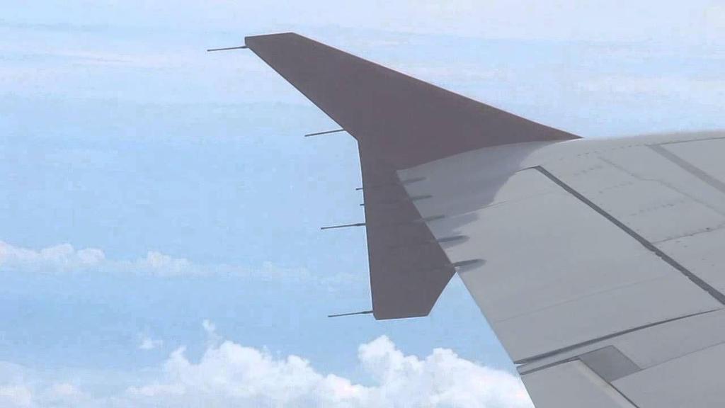 - Et fly lades ved friktion med luften det flyver i - Ukontrollerede udladninger kan forstyrre