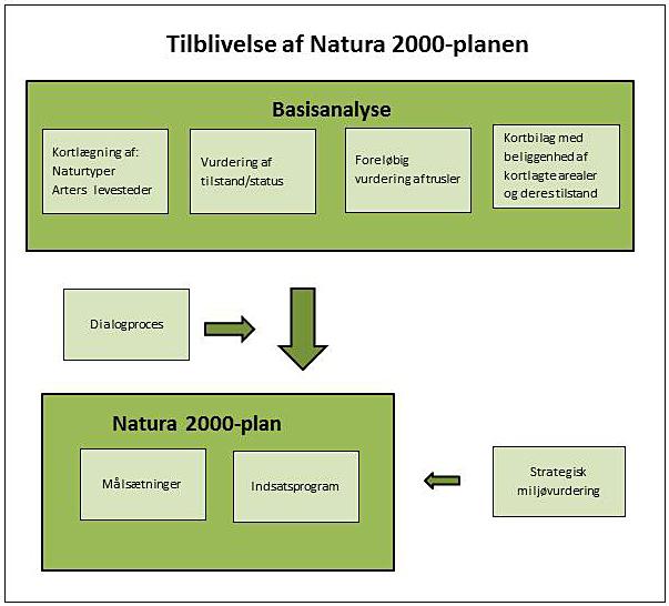 1. Natura 2000-planlægning EU s Natura 2000-direktiver (fuglebeskyttelsesdirektivet- og habitatdirektivet) forpligter Danmark til at gøre den nødvendige indsats for at sikre eller genoprette gunstig