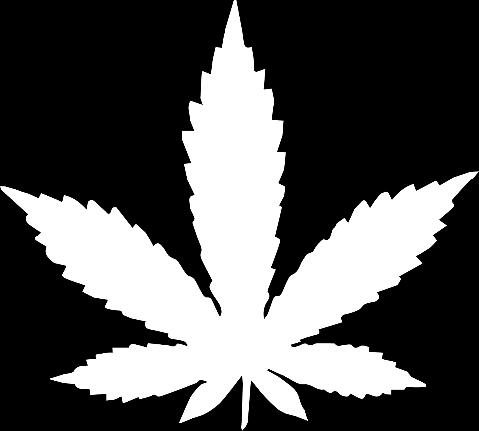 Forsøgsordningen om medicinsk cannabis kræver en ny lov, som bliver fremsat i Folketinget den 5. oktober 2017. Samtidig med at loven træder i kraft 1.