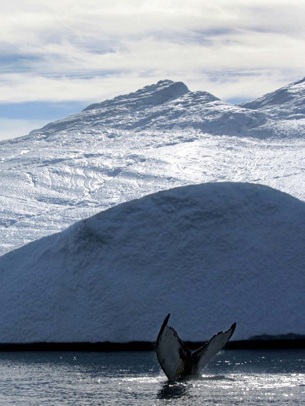 Illulissat Icefiord - UNESCO World