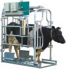 udviklet i samarbejde med Dansk Kvæg Allflex dan-mark plancheudstilling om elektronisk registrering af kvæg Dansk Kvæg