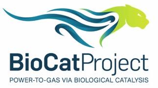 BioCat Technology Demonstration Project Scale-Up to