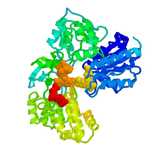 مكانيسم اثر مواد شيميايي ضد ميكروبي الف( تغيير ماهيت پروتئين ها Denaturation( :)Protein پروتئين ها )شامل همه ی آنزيم ها و پروتئين های غير آنزيمی( دارای شکل پيچيده و سه بعدی هستند که توسط پيوندهای دی