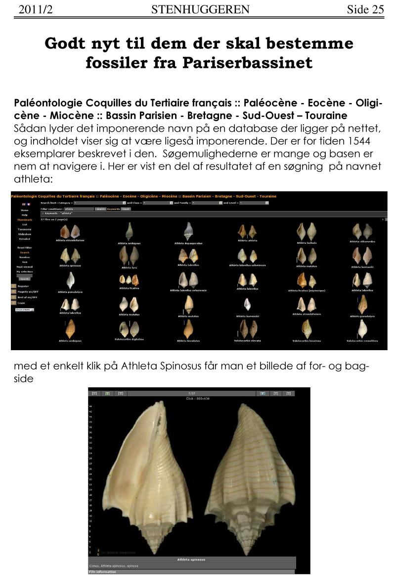 201112 Side 25 Godt nyt til dem der skal bestemme fossiler fra Pariserbassinet Paleontologie Coquilles du Terfiaire franc;ais :: PaleocEme - Eocene - Oligicåne - Miocene :: Bassin Parisien - Bretagne