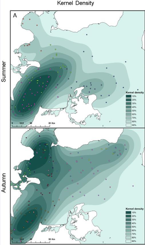 Figur 12-2. Højtæthedsområder og årstidsvariation i fordelingen af marsvin fra 13 danske, satellitmærkede dyr i den sydvestlige Østersø og Storebæltsområdet i perioden 2006-2012.