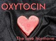 Oxytocin Tilknytnings-hormon, der dannes i hypothalamus og frigives fra hypofysen Især berøring /