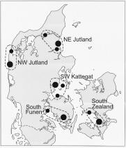 176 Post-breeding dispersal of Cormorants Fig. 1. Colonies and ringing regions. A large circle denote the colony where most Cormorants within each region were ringed (see Table 1).