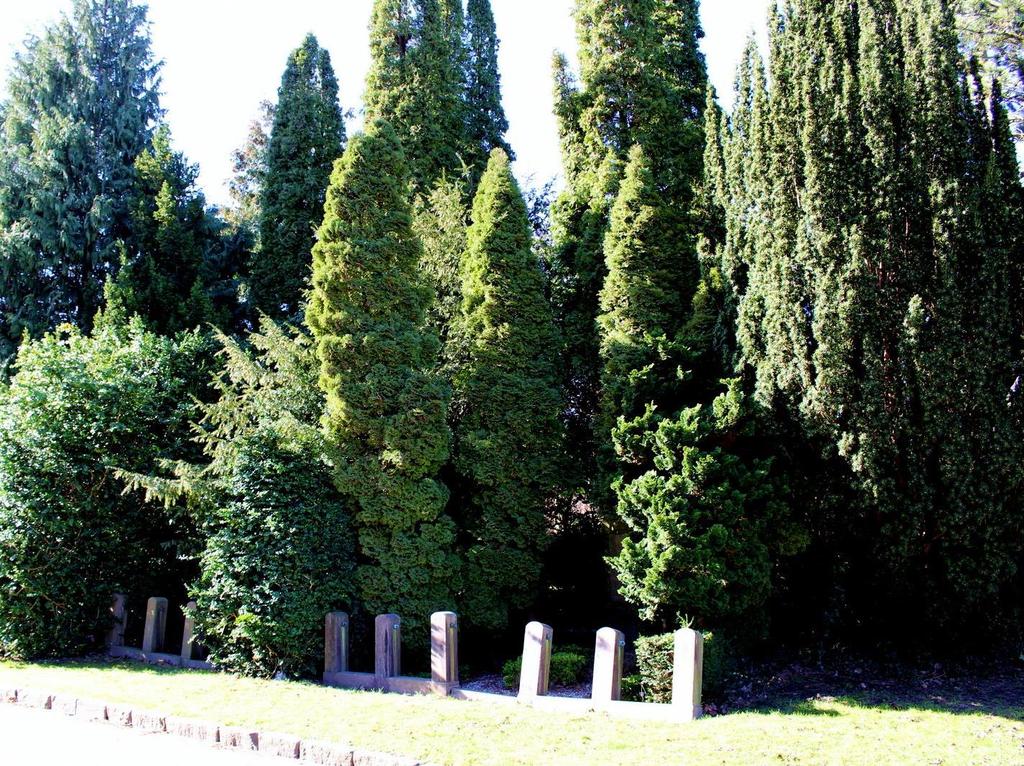 Rigtige kirkegårdsplanter
