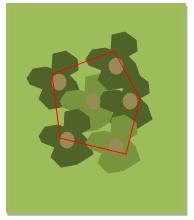 Arealet skal du opgøre ved at trække lige linjer mellem de yderste træstammer eller buske i klyngen (se Figur 2.2 nedenfor). Figur 2.2: Opmåling + fradrag af klynge over 100 m 2 Figur 2.