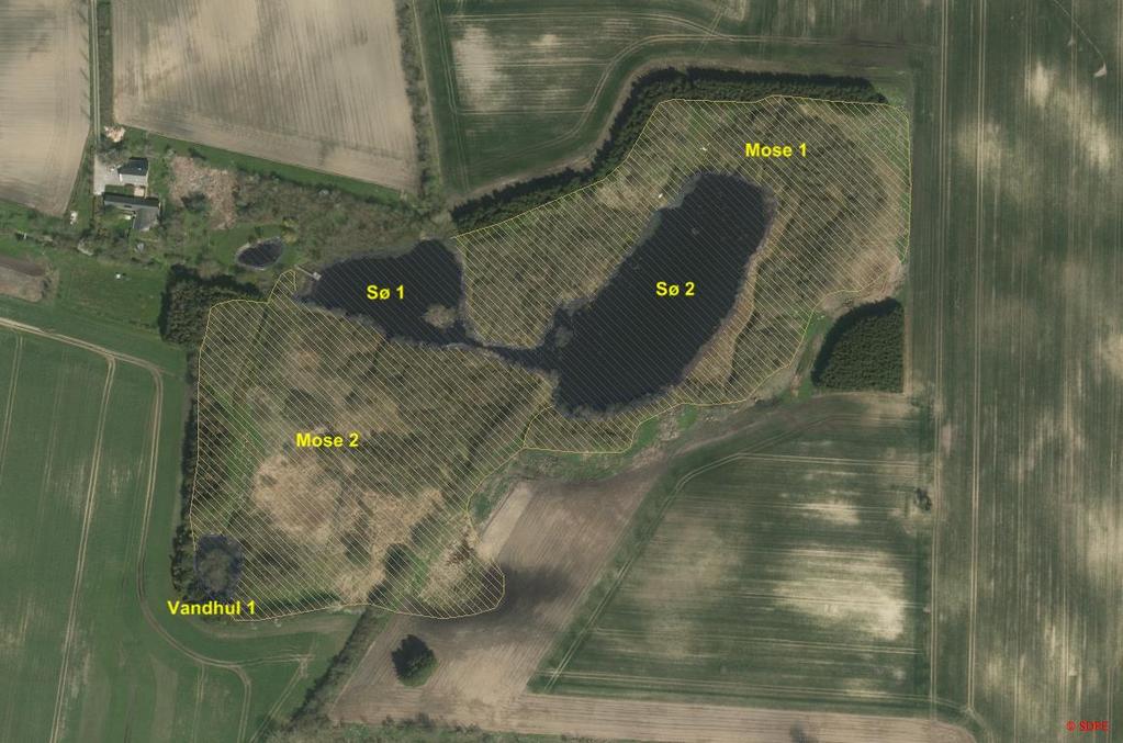 1 Baggrund I forbindelse med en igangværende sag omhandlende 3-beskyttede søer og moseområder ved Skårebækken i Næstved Kommune, har NIRAS besigtiget to søer og et vandhul, samt to større moseområder