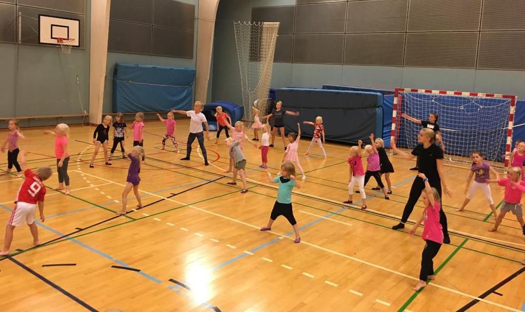 Piger 5-7 år Dette hold er for friske piger, som ønsker at tilegne sig til grundlæggende øvelser og færdigheder indenfor gymnastikken.
