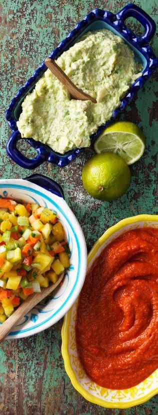 Guacamole, mango salsa og salsa casera En enkel måde at få mere Sydamerikansk smag i din mad er ved at lave en Sydamerikansk salsa. Her har du tre klassikere, der er enkle at lave.