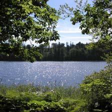 3.1 VANDKVALITET I SØER Miljøtilstanden i danske søer er generelt forbedret siden 2 Vandets klarhed i søerne er forbedret, og næringsstofindholdet er faldet Mange søer er dog stadig præget af en for