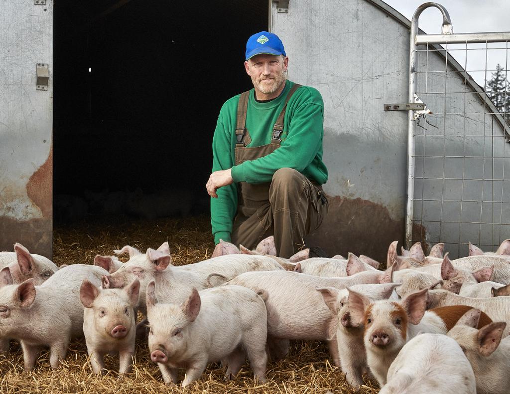Økologisk svineproducent Nicolaj Pedersen er ny næstformand i Friland A/S.