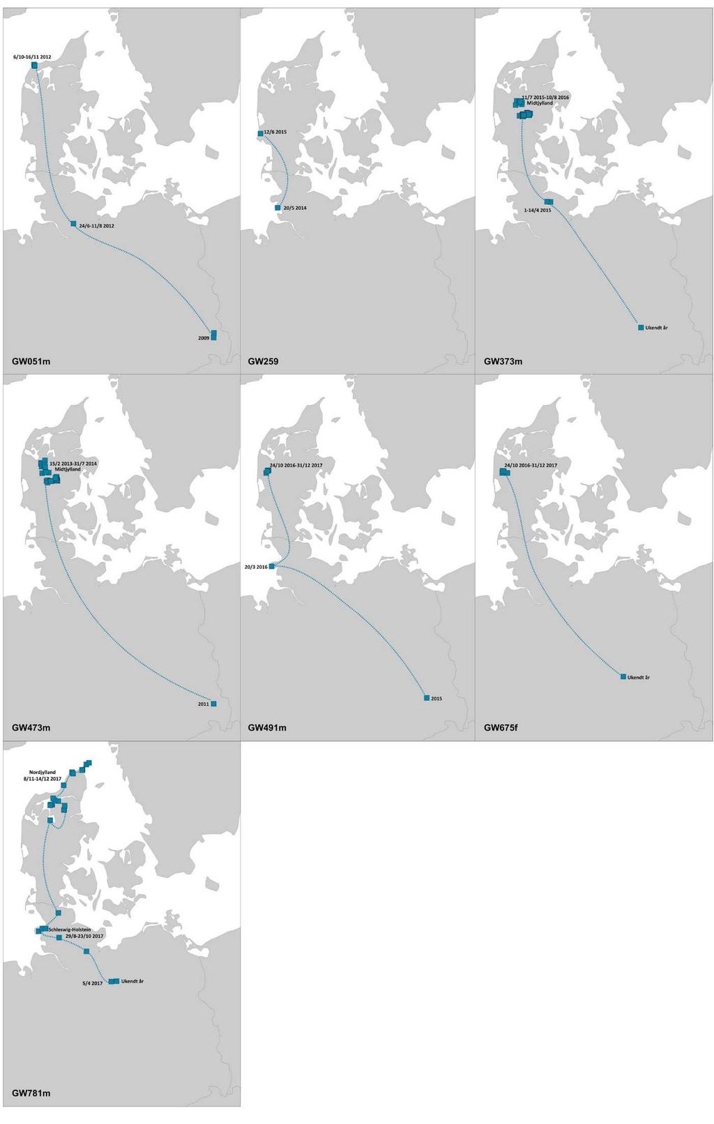 Figur 13. De syv genotype-identificerede ulves indvandringsveje til Danmark fra Tyskland.