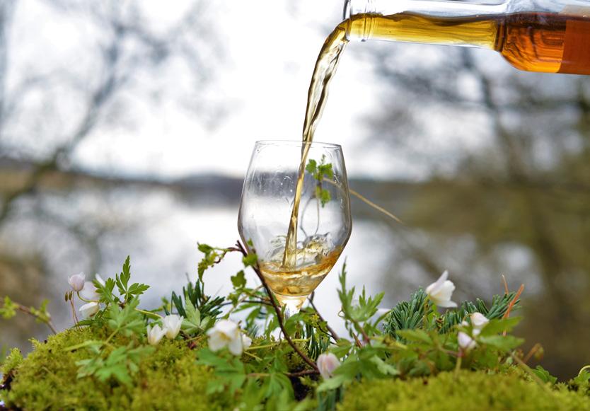 VORES ØKOLOGISKE Her på Vejlsøhus går vi meget op i økologi og derfor har vi også valgt, at vores vinkort skal være præget af økologiske og biodynamiske vine.