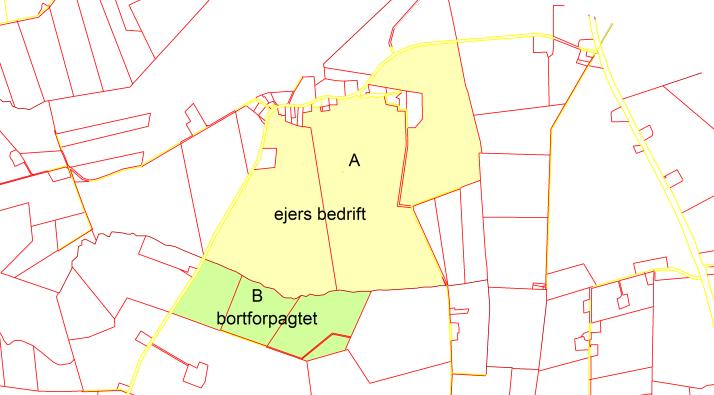 Eksempel: Arealerne A og B har samme ejer, men areal B er bortforpagtet inkl. jagtretten. Der kan laves separate biotopplaner for de to arealer, men ikke en samlet plan for de to arealer.