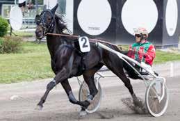 vert år siden 9 har Jydsk -årings Grand Prix været Jydsk Væddeløsanes største væddelø, når dery-årgangens heste duellerer om i år 0.000 kroner med halvdelen til vinderen.