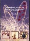 An illustrated guide to the coprophilous Ascomycetes of Australia. (2005) CBS Biodiversisity Series No. 3. Pris: 570 kr. ekskl. forsendelse.